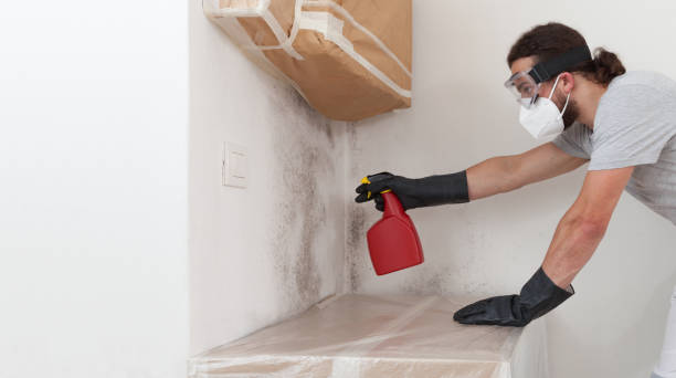 Professional Mold Removal technician working in Ivor, VA